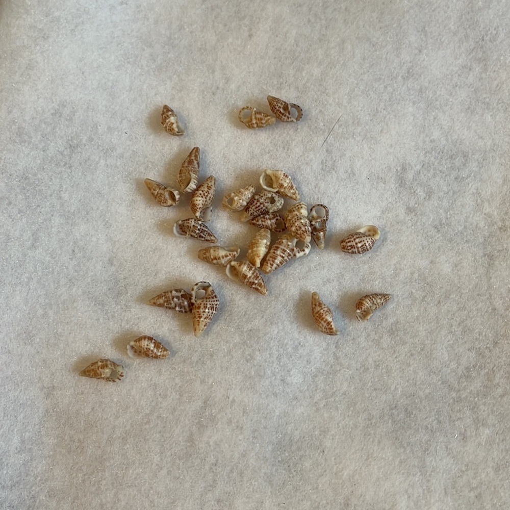 Shell necklace - Picture 4 of 5